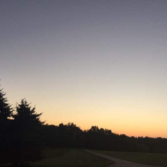 Meet your Posher, Morgan - Picture 1 of 1